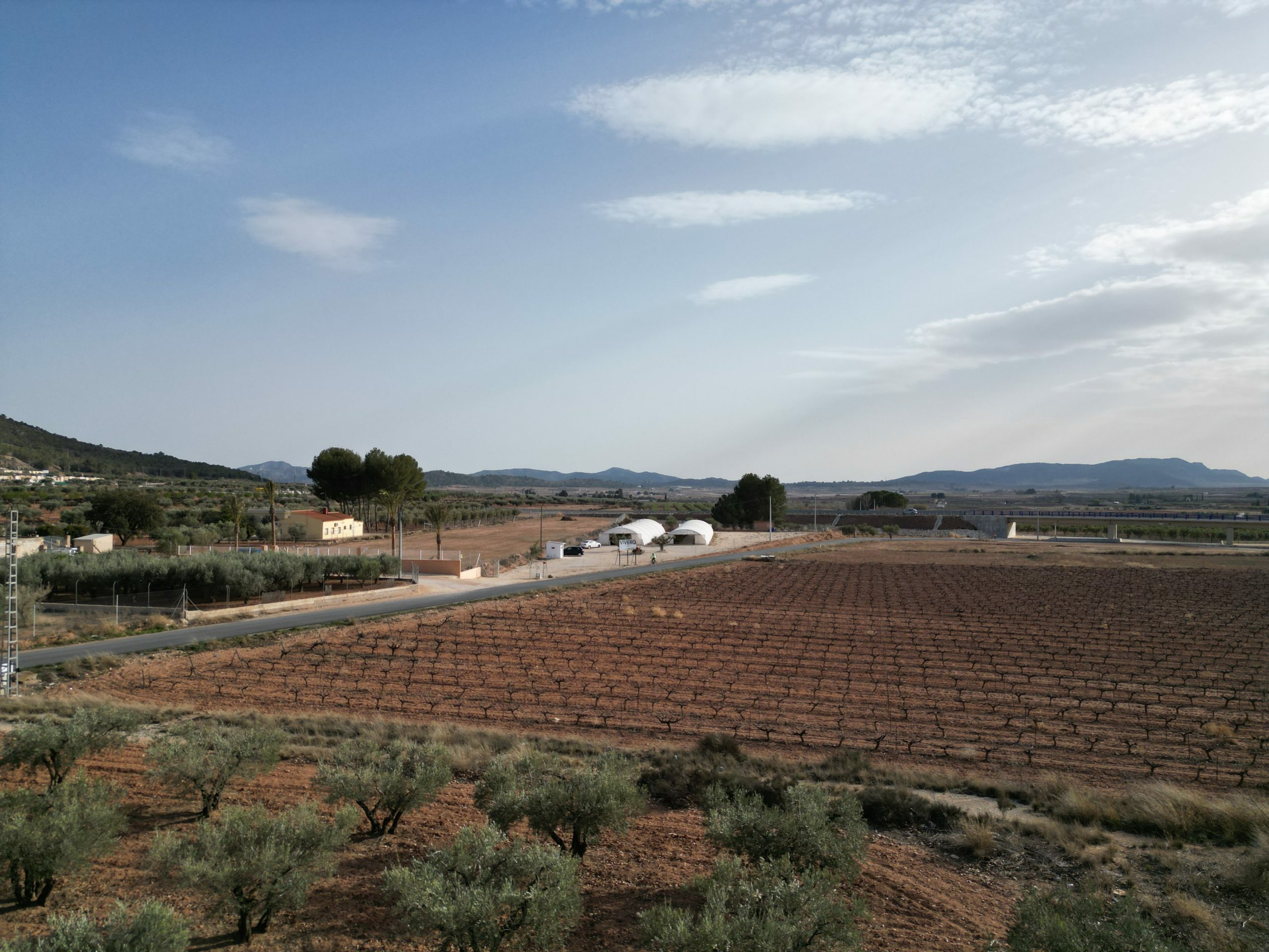 Land In Pinoso, Spain (18.928 M² Plot)
