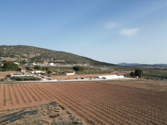 Land In Pinoso, Spain (18.928 M² Plot)