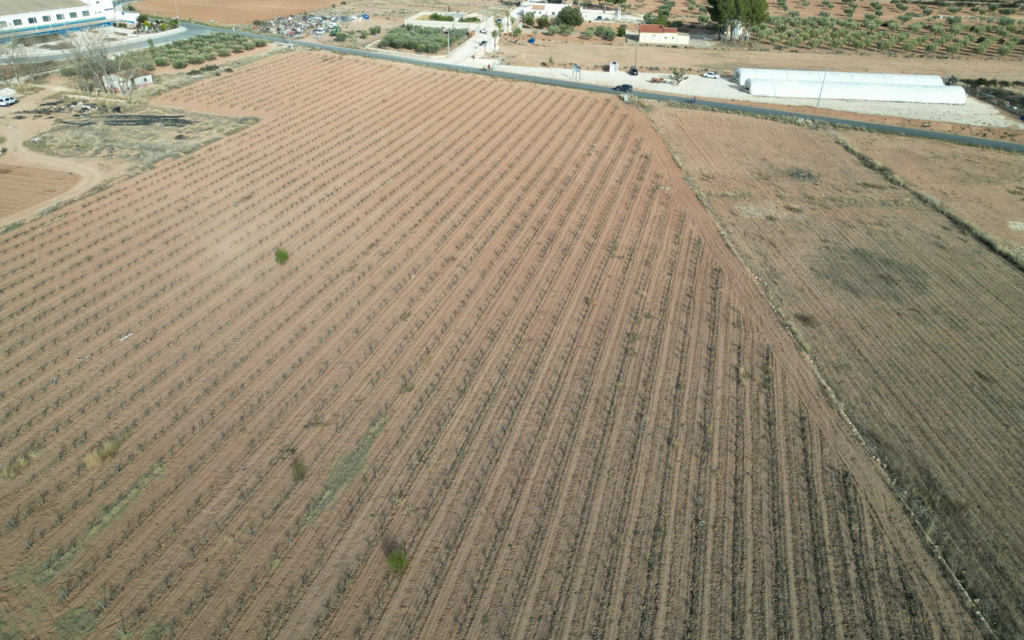 Land In Pinoso, Spain (18.928 M² Plot)