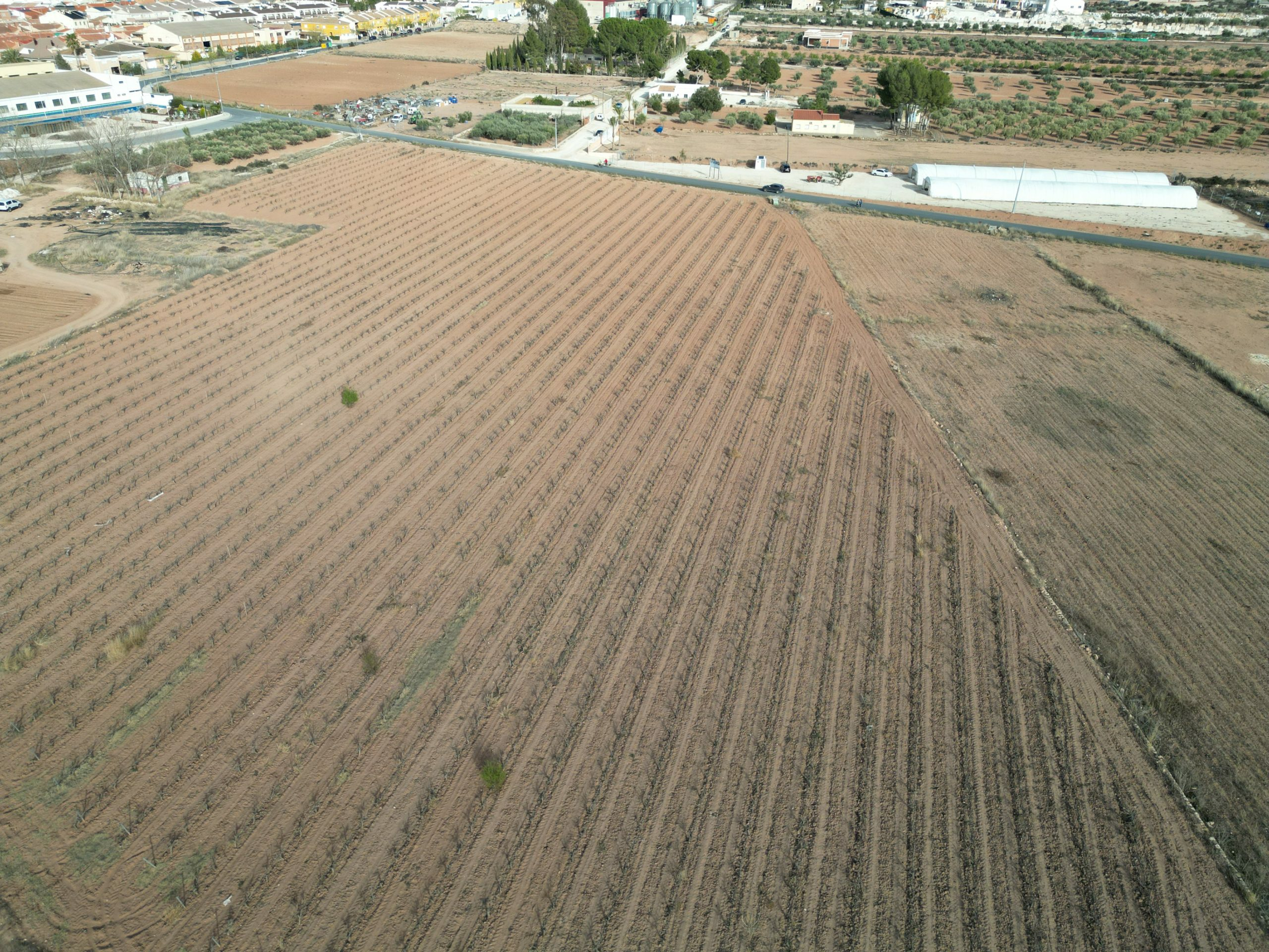 Land In Pinoso, Spain (18.928 M² Plot)