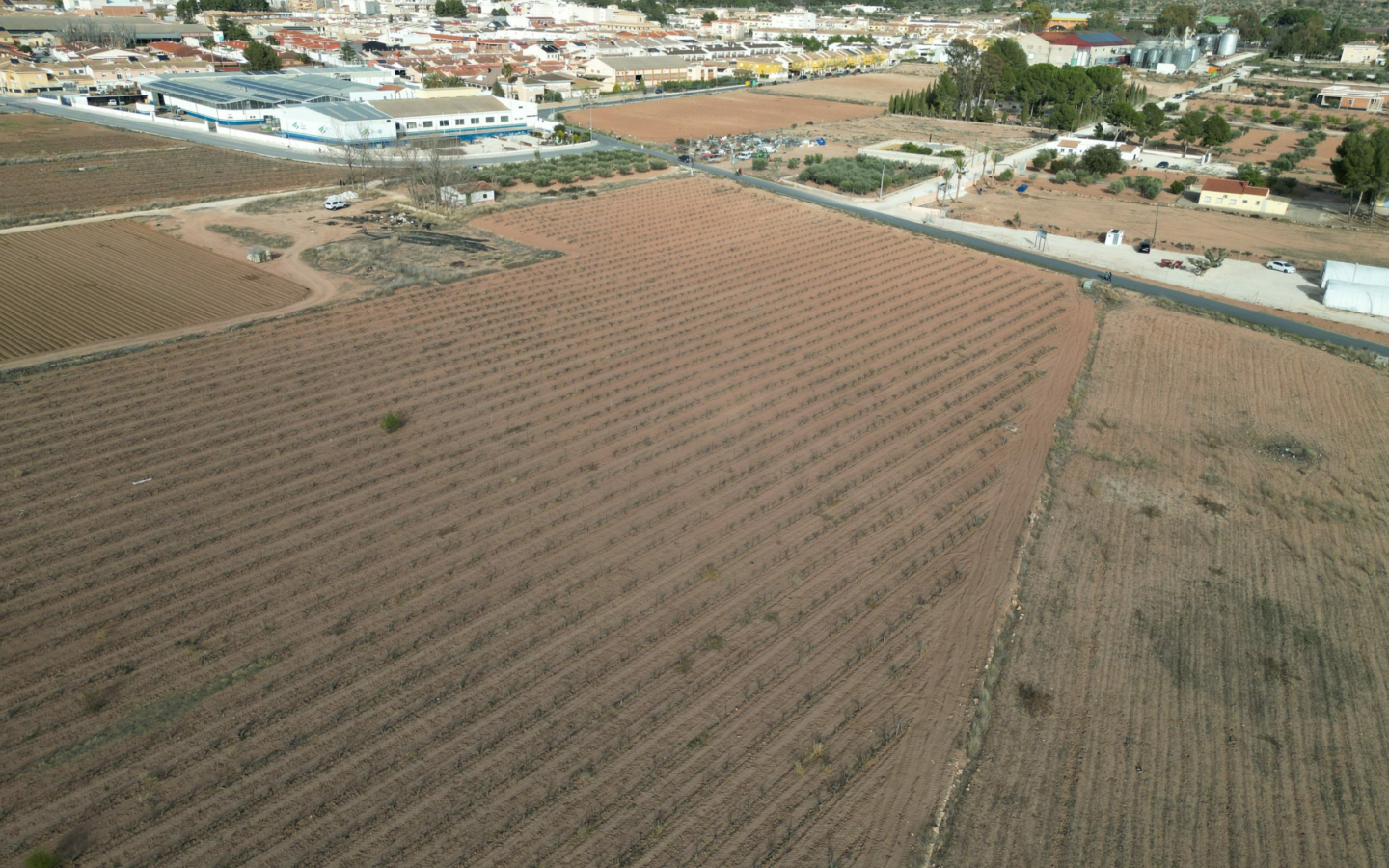 Land In Pinoso, Spain (18.928 M² Plot)