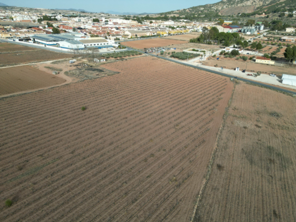 Land In Pinoso, Spain (18.928 M² Plot)