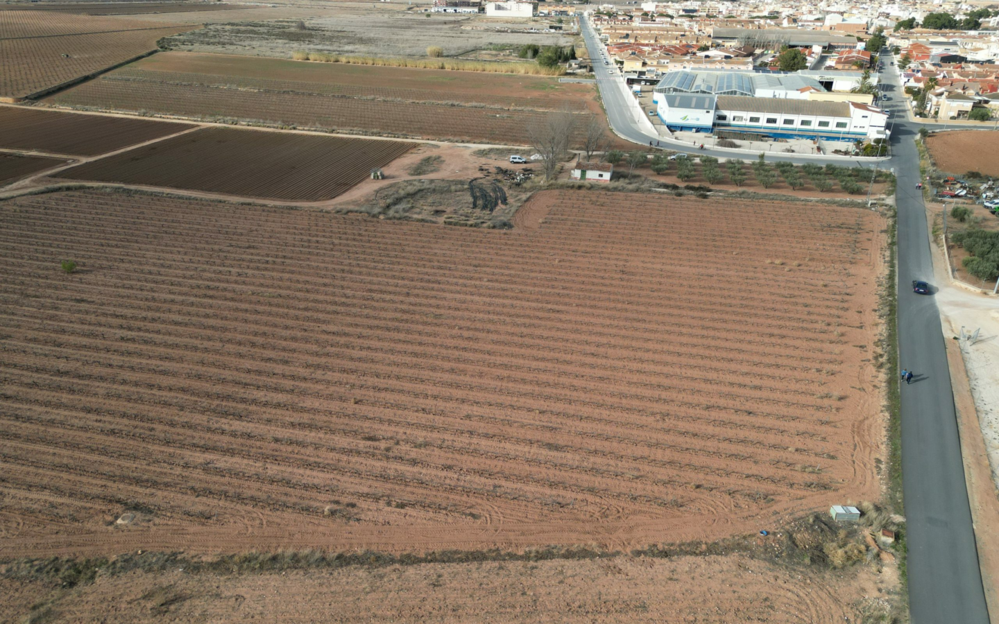 Land In Pinoso, Spain (18.928 M² Plot)