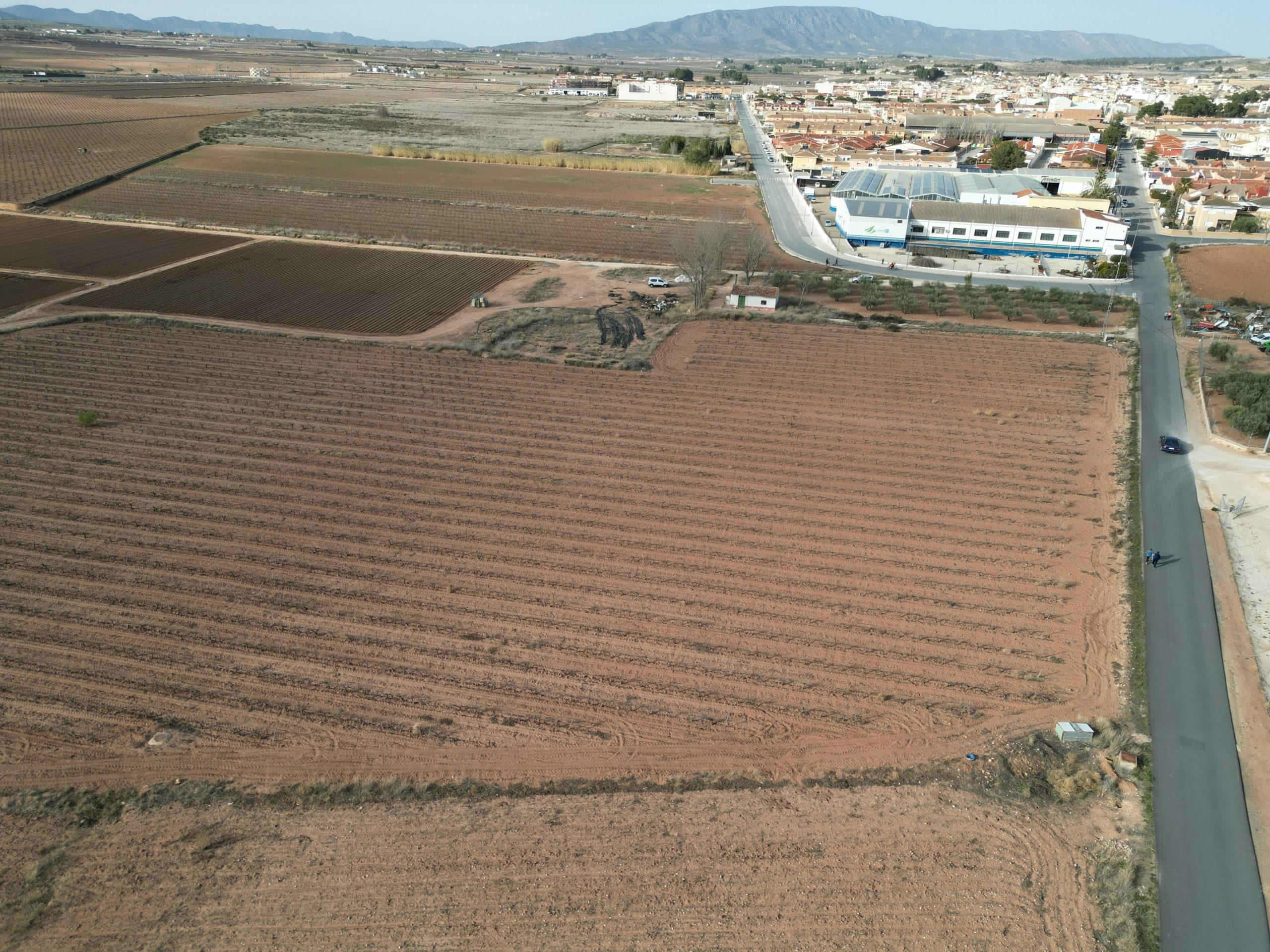 Land In Pinoso, Spain (18.928 M² Plot)