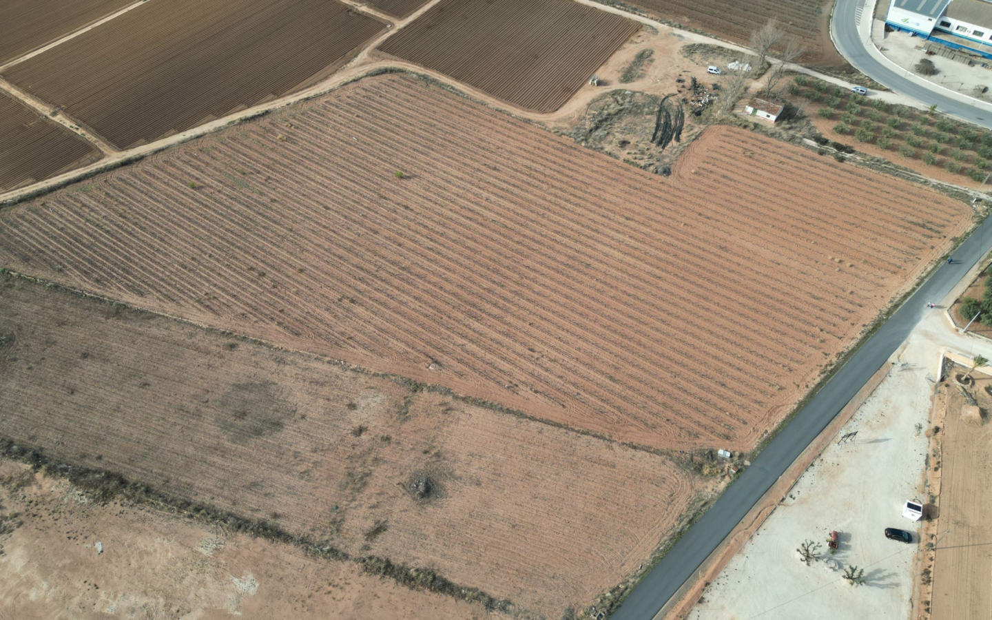 Land In Pinoso, Spain (18.928 M² Plot)