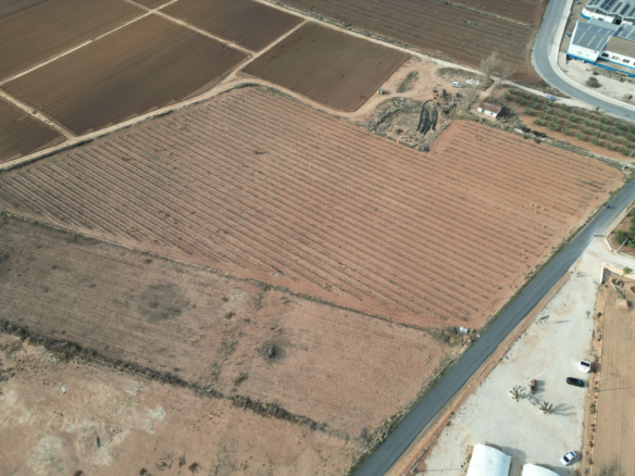 Land In Pinoso, Spain (18.928 M² Plot)