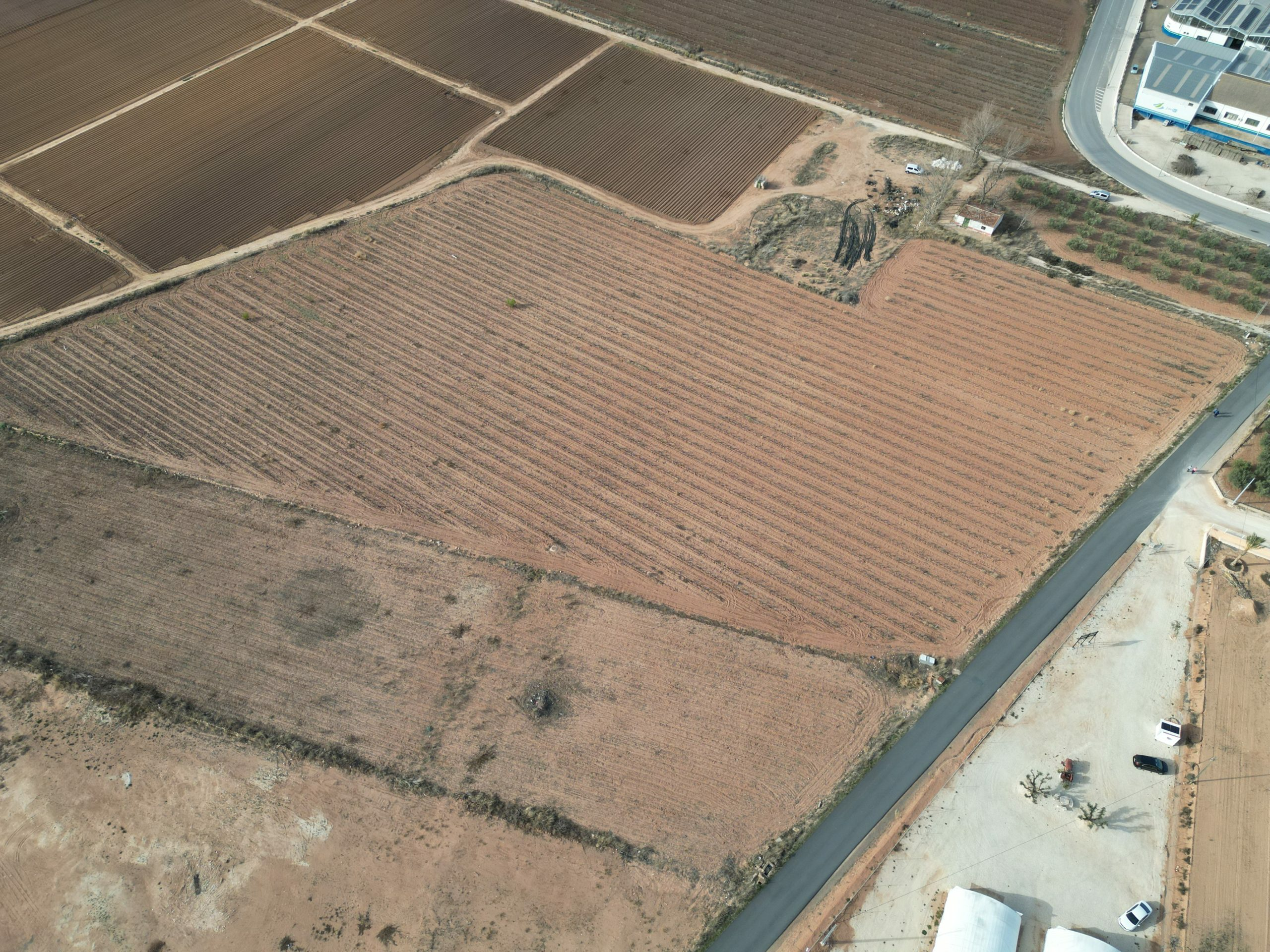 Land In Pinoso, Spain (18.928 M² Plot)