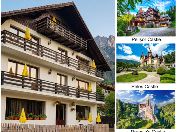 Investment Opportunity: 4-star Guesthouse For Sale (turnkey Business) In The Heart Of Bran