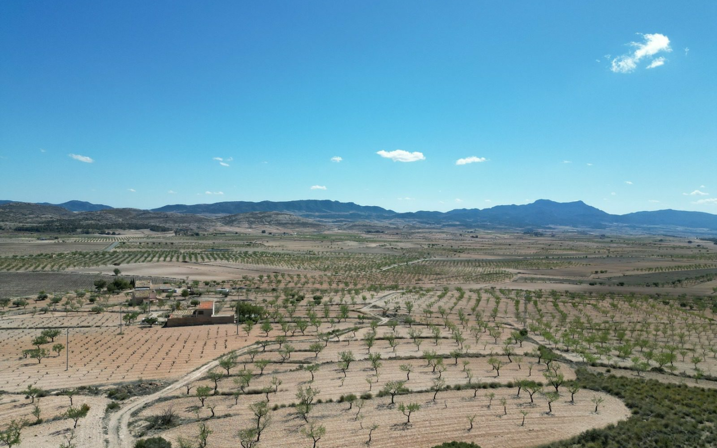 Land In Pinoso, Spain (7.332 M² Plot)