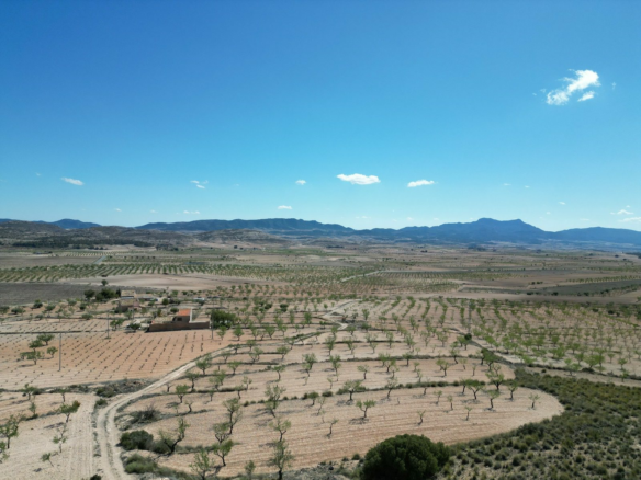 Land In Pinoso, Spain (7.332 M² Plot)