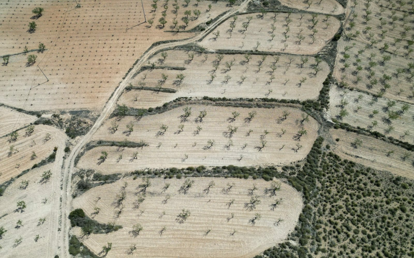 Land In Pinoso, Spain (7.332 M² Plot)