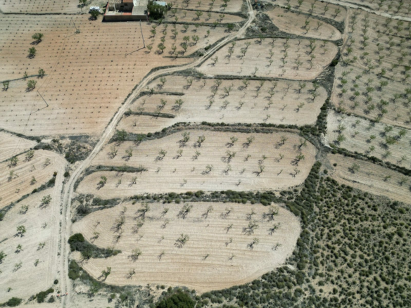 Land In Pinoso, Spain (7.332 M² Plot)