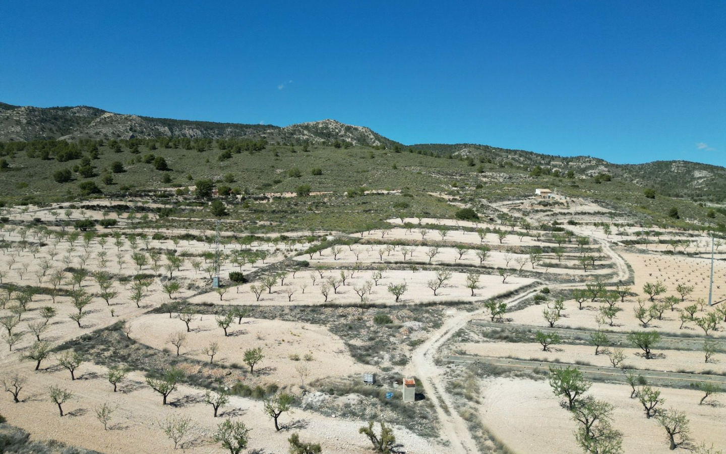 Land In Pinoso, Spain (7.332 M² Plot)