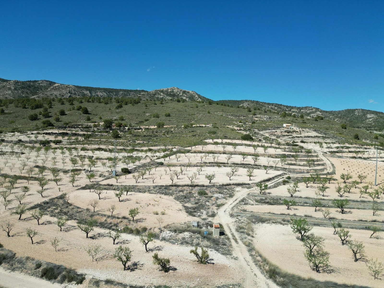 IMG-20240519-WA0004-52a448 Land In Pinoso, Spain (7.332 M² Plot)