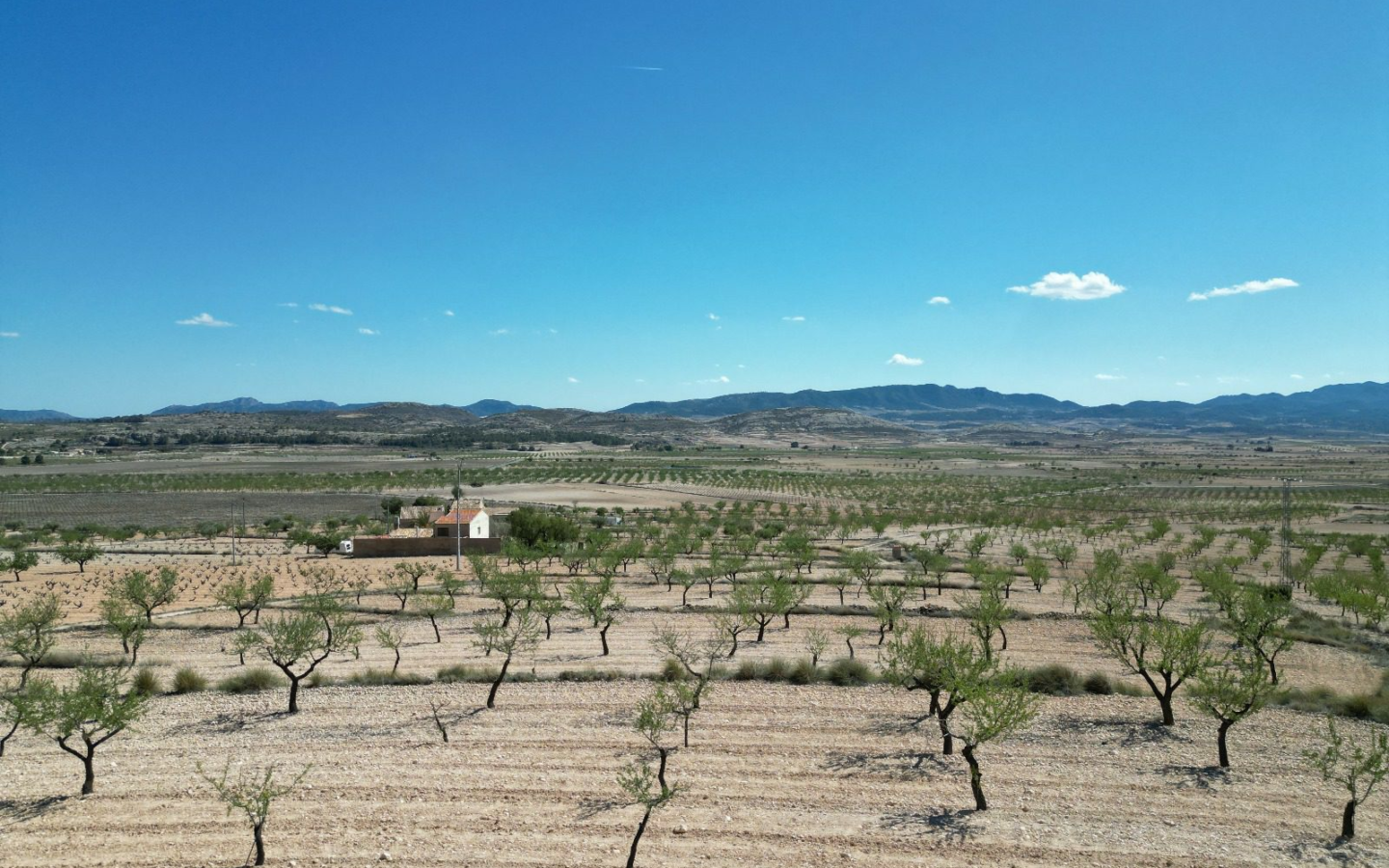 Land In Pinoso, Spain (7.332 M² Plot)