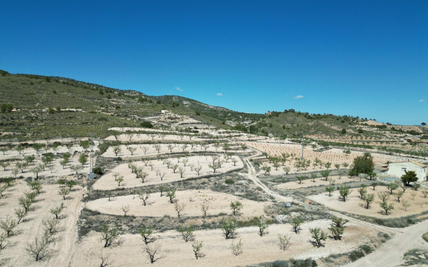 Land In Pinoso, Spain (7.332 M² Plot)
