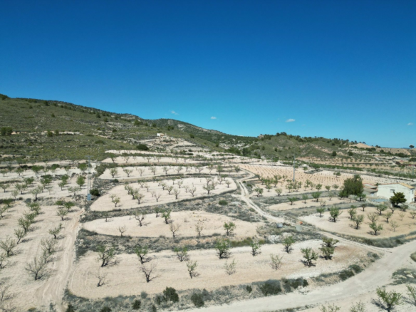 Land In Pinoso, Spain (7.332 M² Plot)