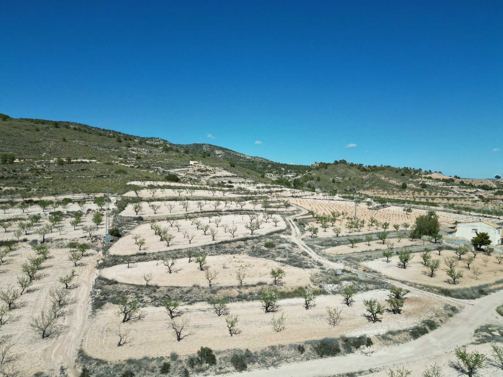 IMG-20240519-WA0007-7ed02f Land In Pinoso, Spain (7.332 M² Plot)