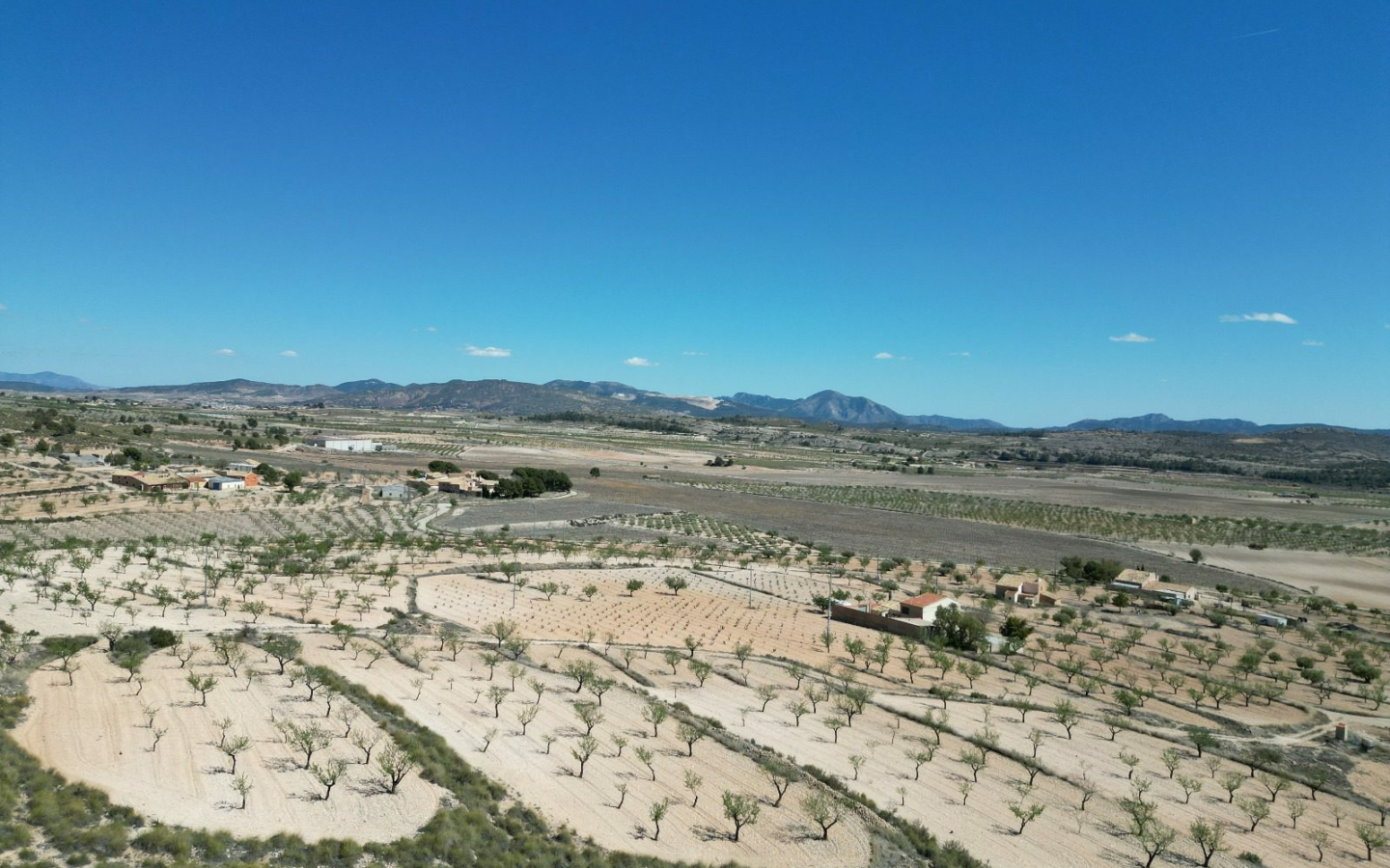 Land In Pinoso, Spain (7.332 M² Plot)