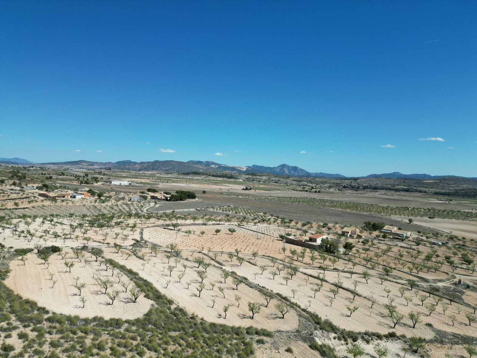 IMG-20240519-WA0008-2c2061 Land In Pinoso, Spain (7.332 M² Plot)