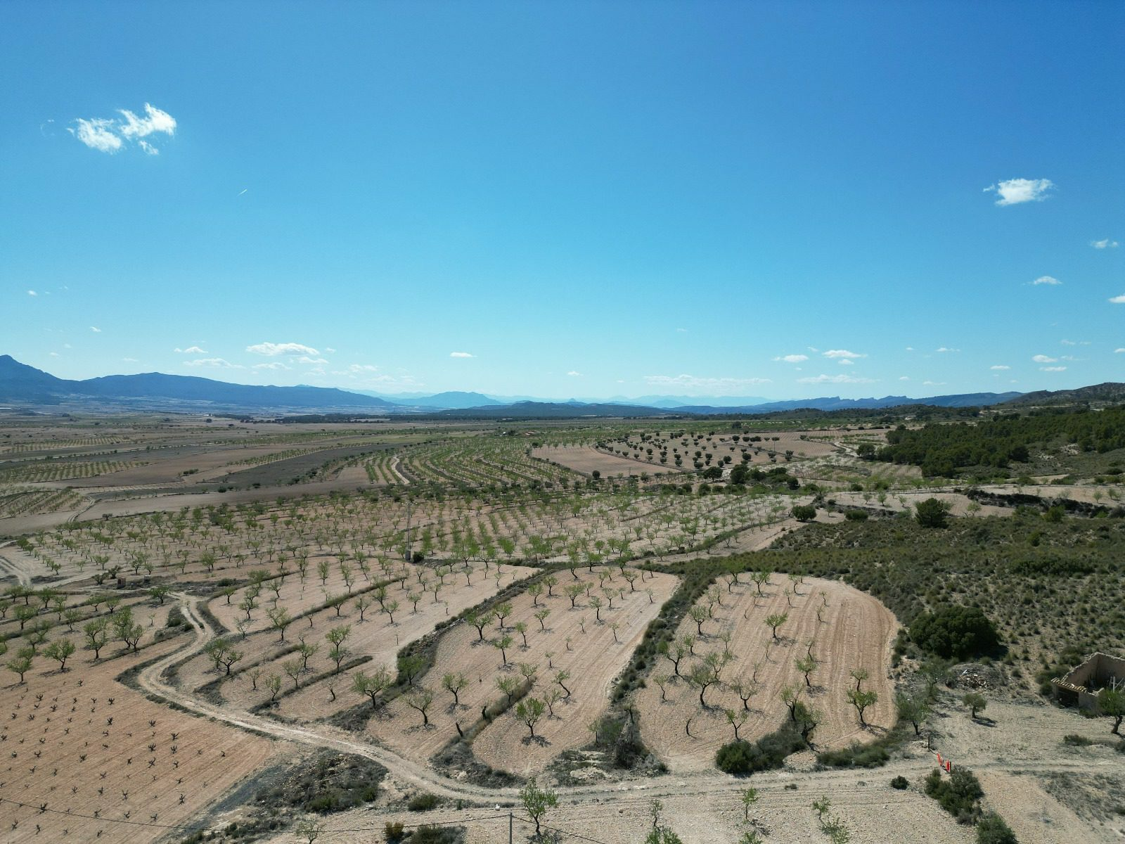 IMG-20240519-WA0009-db99c9 Land In Pinoso, Spain (7.332 M² Plot)