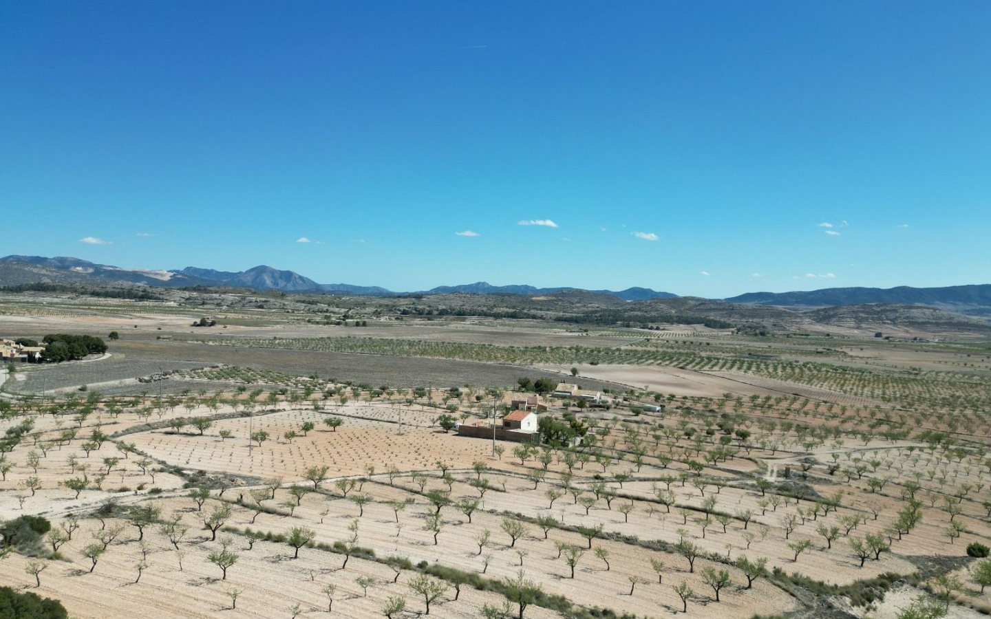 Land In Pinoso, Spain (7.332 M² Plot)