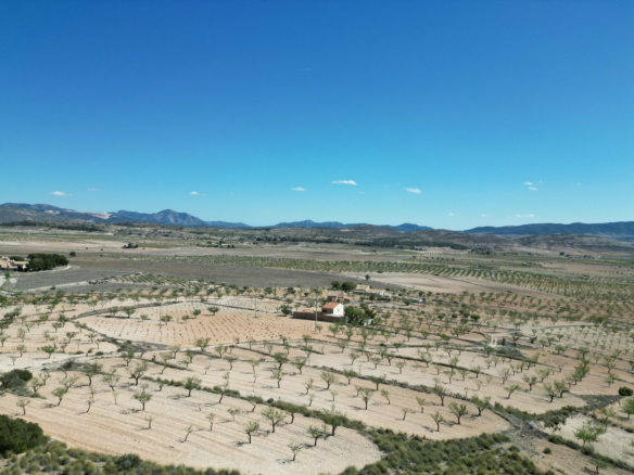 Land In Pinoso, Spain (7.332 M² Plot)