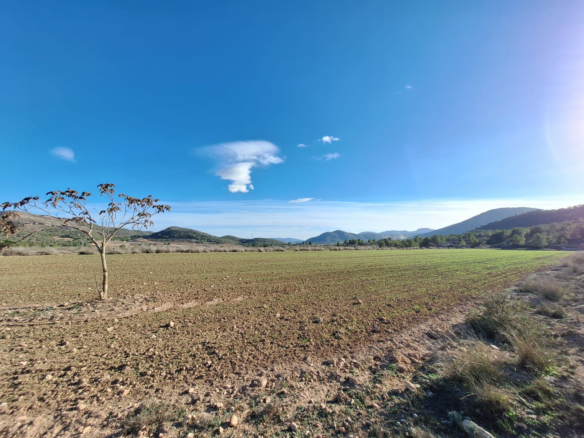 Land In Monovar, Spain (23.792 M² Plot)