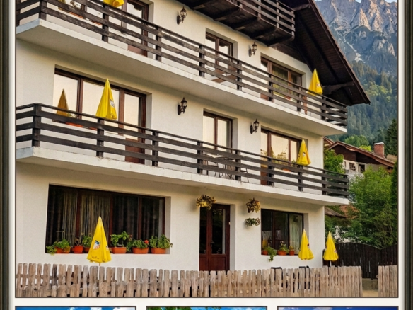 Investment Opportunity: 4-star Guesthouse For Sale (turnkey Business) In The Heart Of Bran