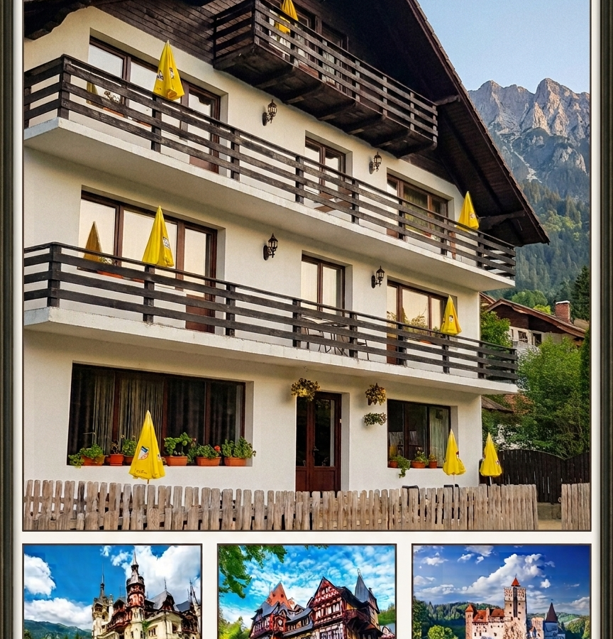 Investment Opportunity: 4-star Guesthouse For Sale (turnkey Business) In The Heart Of Bran