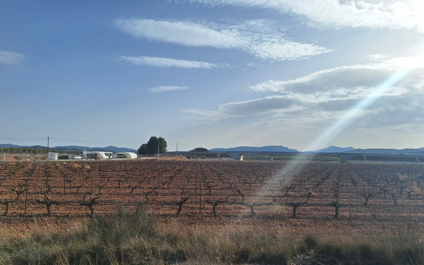 Land In Pinoso, Spain (18.928 M² Plot)