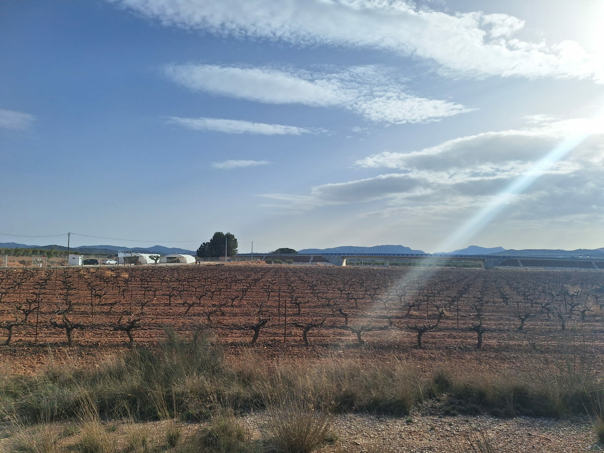 Land In Pinoso, Spain (18.928 M² Plot)