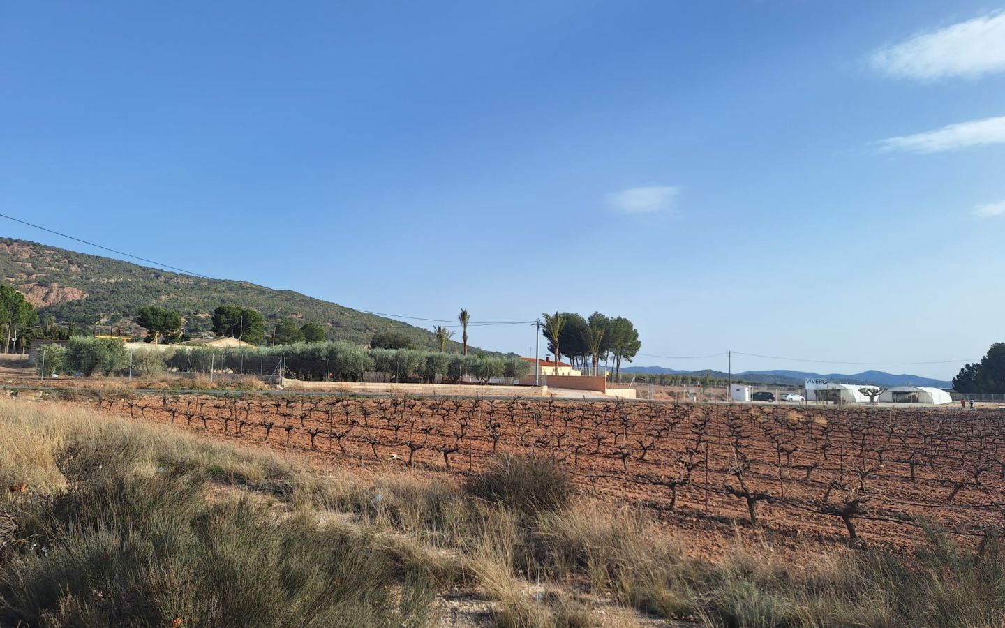 Land In Pinoso, Spain (18.928 M² Plot)
