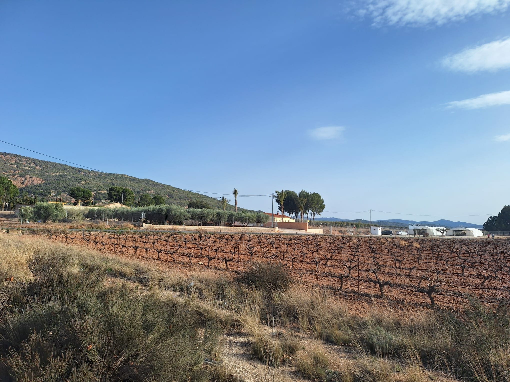 Land In Pinoso, Spain (18.928 M² Plot)