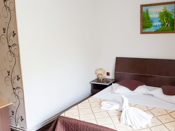 Investment Opportunity: 4-star Guesthouse For Sale (turnkey Business) In The Heart Of Bran
