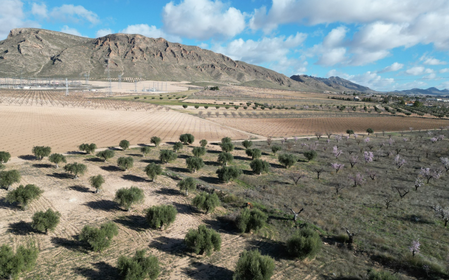 Land In La Alqueria, Spain (46.272 M² Plot)