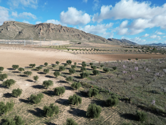 Land In La Alqueria, Spain (46.272 M² Plot)