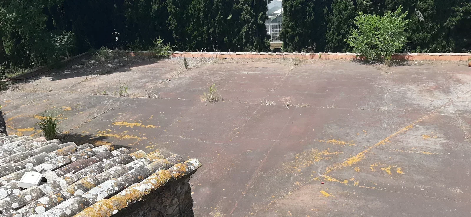 immogirona_asset_004626_picture_017_202_uZcEBci-4c1b8f 11-bedroom Countryhouse In Castell D’aro, Spain (1.141 M²)