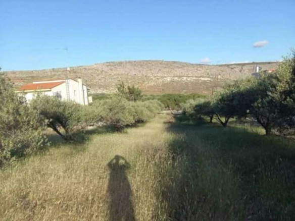 Land In Gouves, Greece