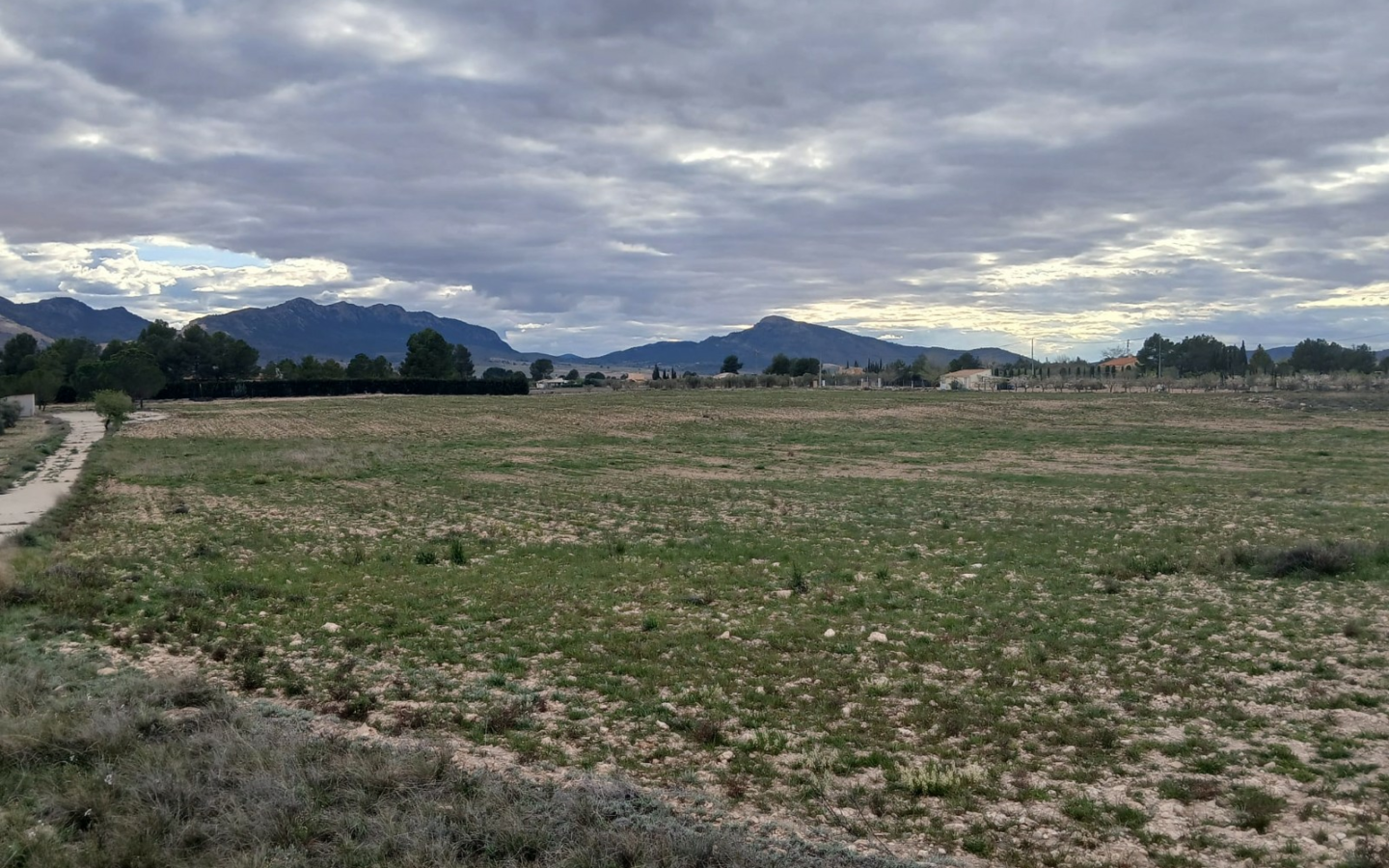 Land In Yecla, Spain (20.000 M² Plot)