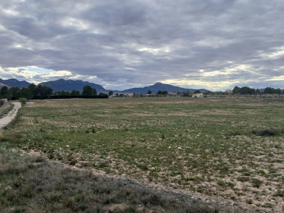 Land In Yecla, Spain (20.000 M² Plot)