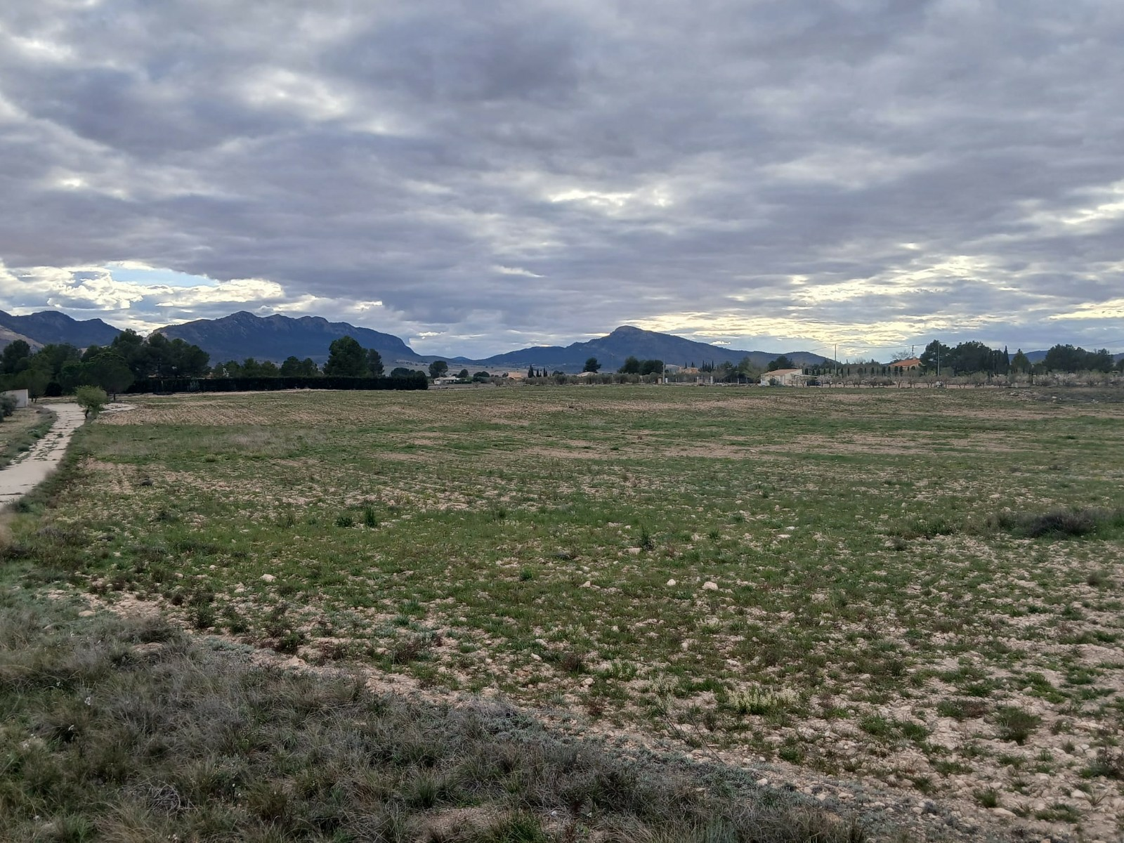 Land In Yecla, Spain (20.000 M² Plot)