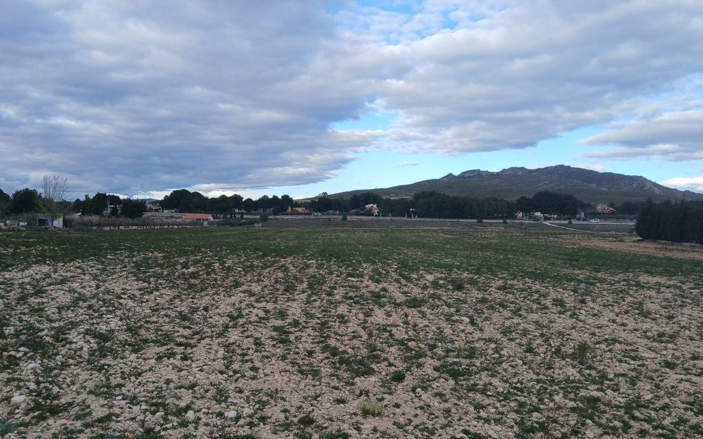 Land In Yecla, Spain (20.000 M² Plot)