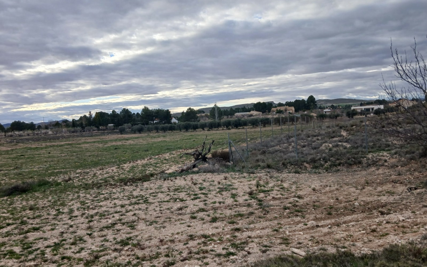 Land In Yecla, Spain (20.000 M² Plot)