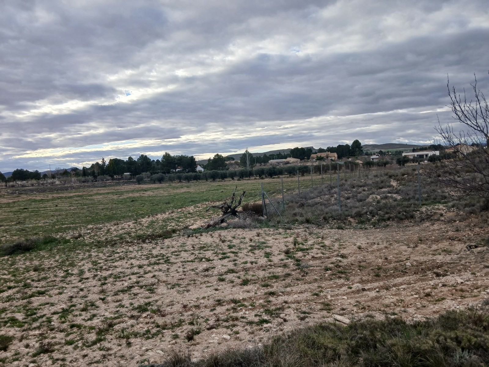 Land In Yecla, Spain (20.000 M² Plot)