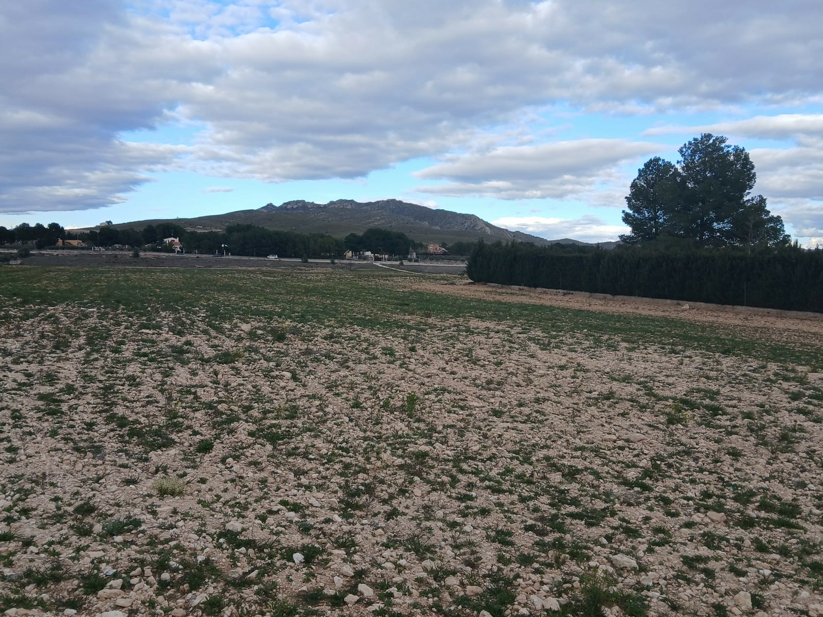 Land In Yecla, Spain (20.000 M² Plot)