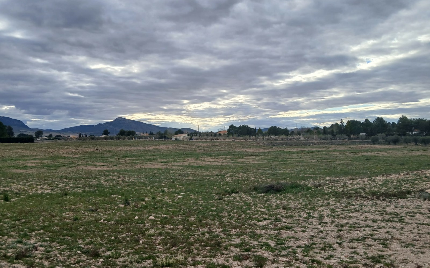 Land In Yecla, Spain (20.000 M² Plot)