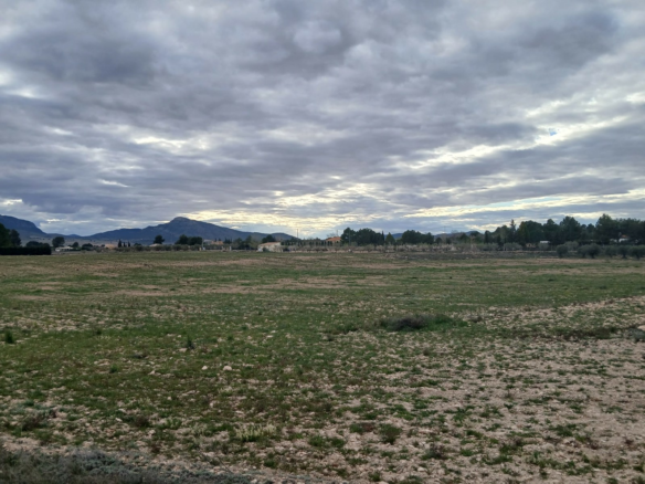 Land In Yecla, Spain (20.000 M² Plot)