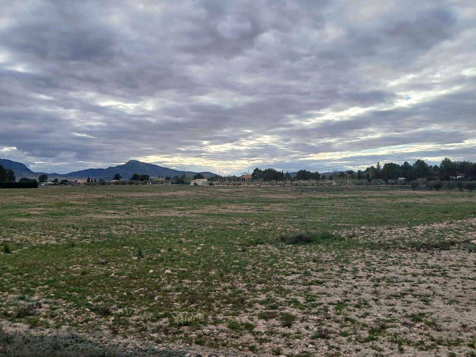 Land In Yecla, Spain (20.000 M² Plot)