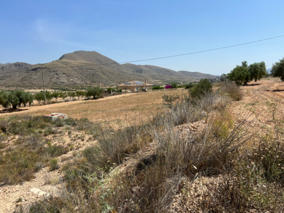 Land In Abanilla, Spain (16.305 M² Plot)
